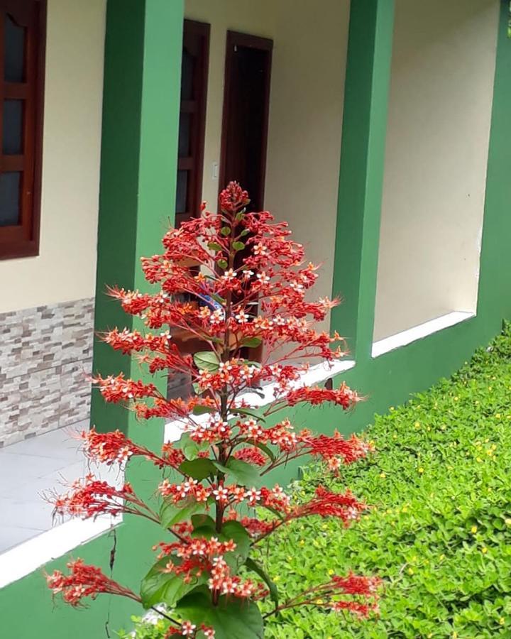 Puerto Nariño Wikungo Hotel מראה חיצוני תמונה