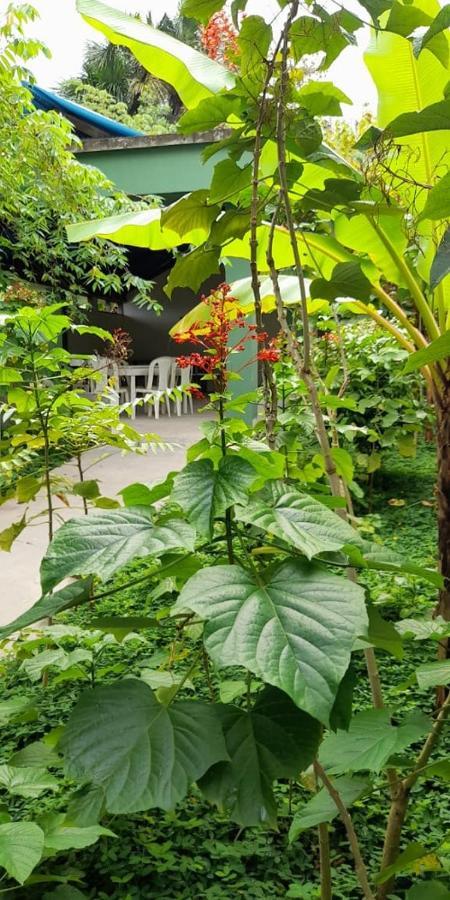 Puerto Nariño Wikungo Hotel מראה חיצוני תמונה